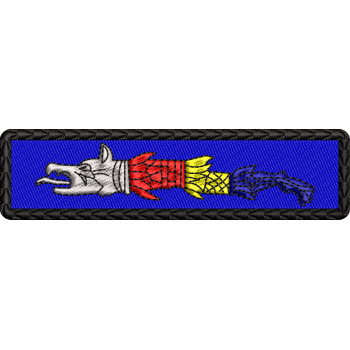 Patch-uri militare  / EMBLEMA CAP DACIC TRICOLOR MOTIVE TRADITIONALE 1